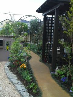 my new garden 1