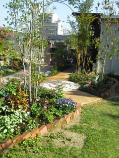 my new garden 2