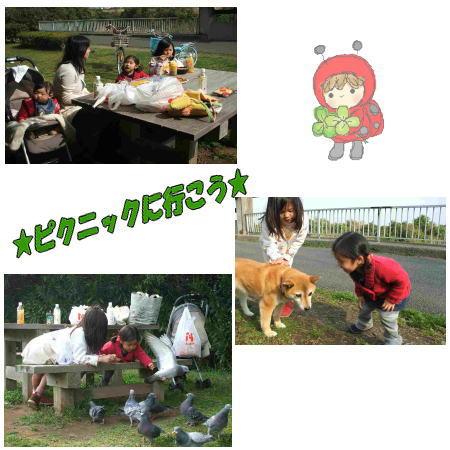 ピクニックへ行こう