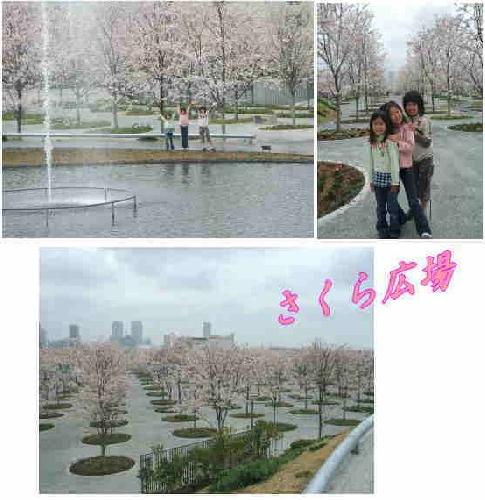 さくら広場