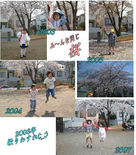 さくら　桜　サクラ