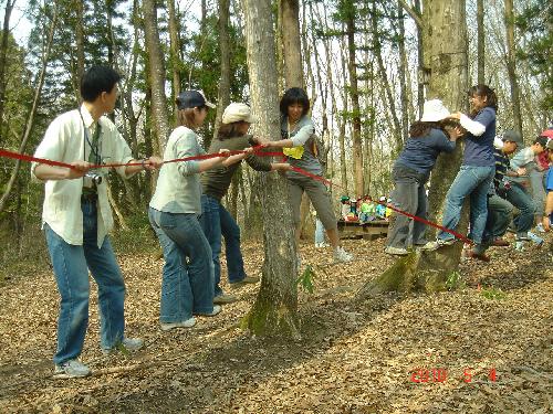 ローエレメント