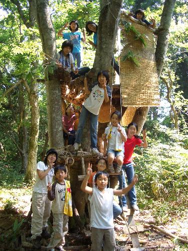 ץXĥ꡼ϥܳŪˤʤäƤ