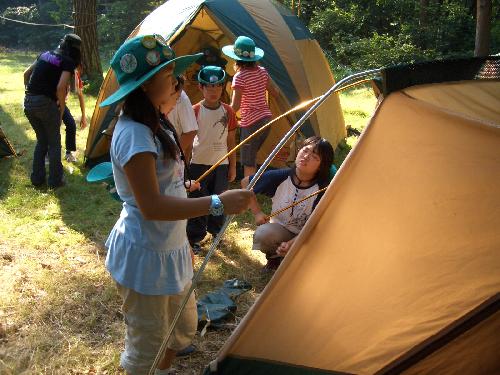 礭ʥƥȡߤʤǶϤƷƤޤ