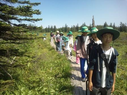 ͺʼưư̤μ̿ƤޤΤǡ⤴